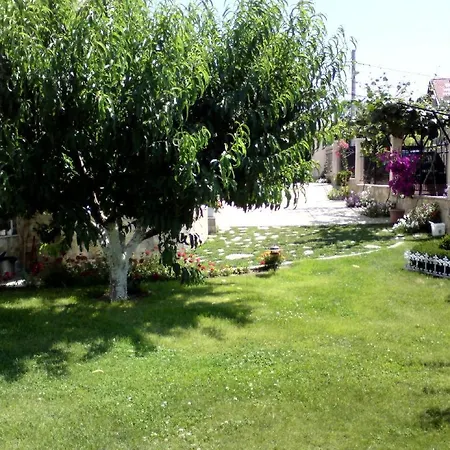 Roni Guest house 3*