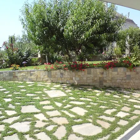 Roni Guest house